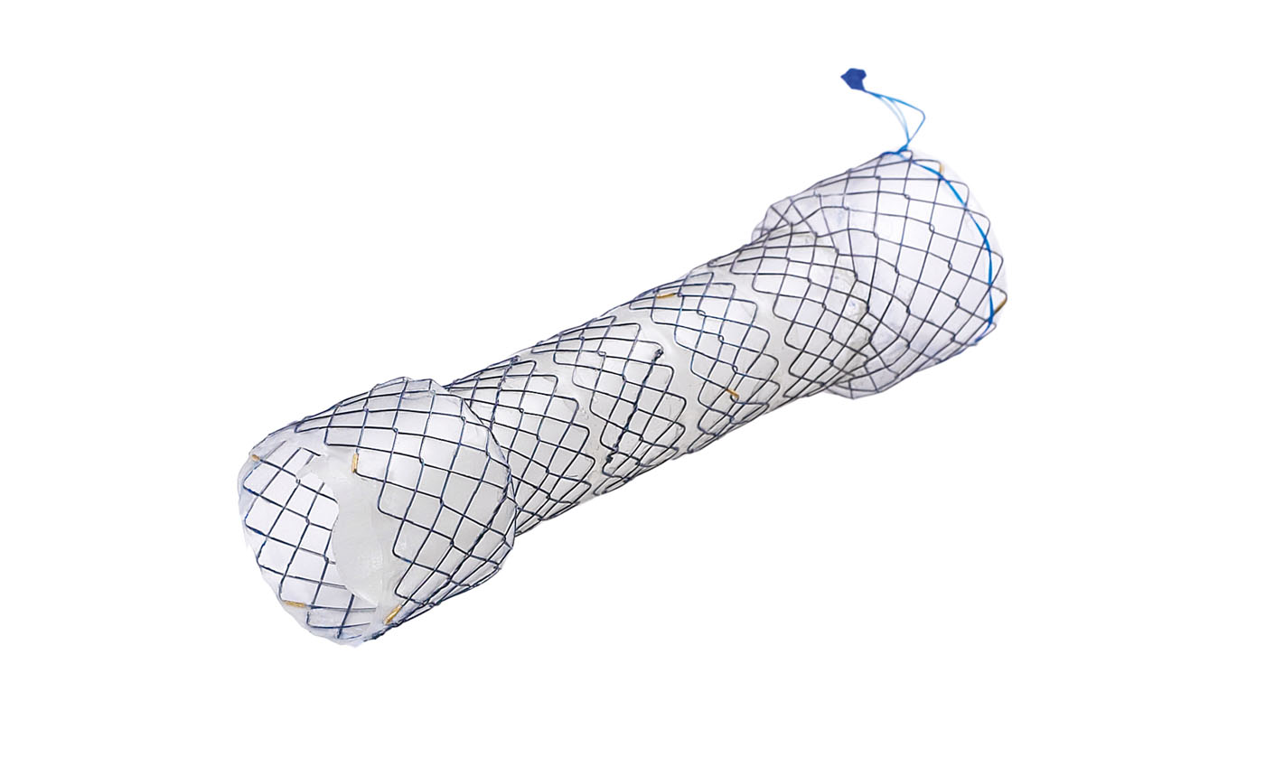 esophageal-stent2